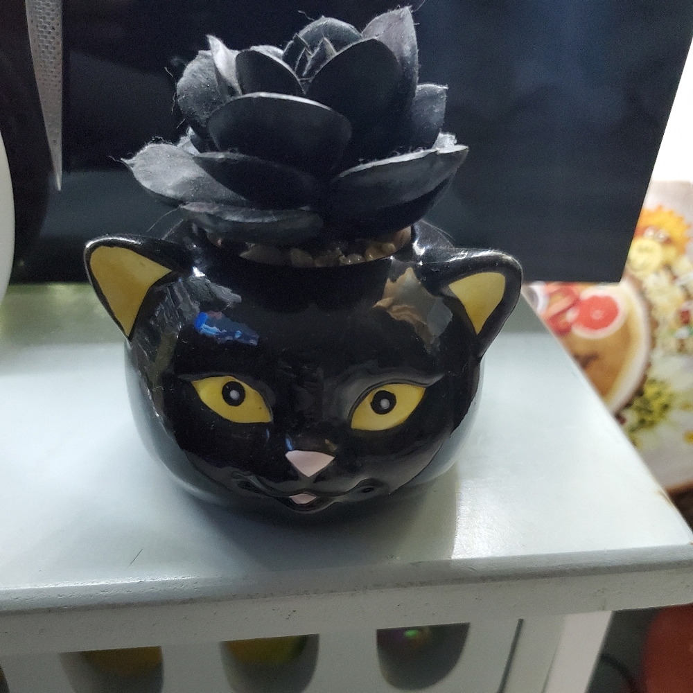 Planter